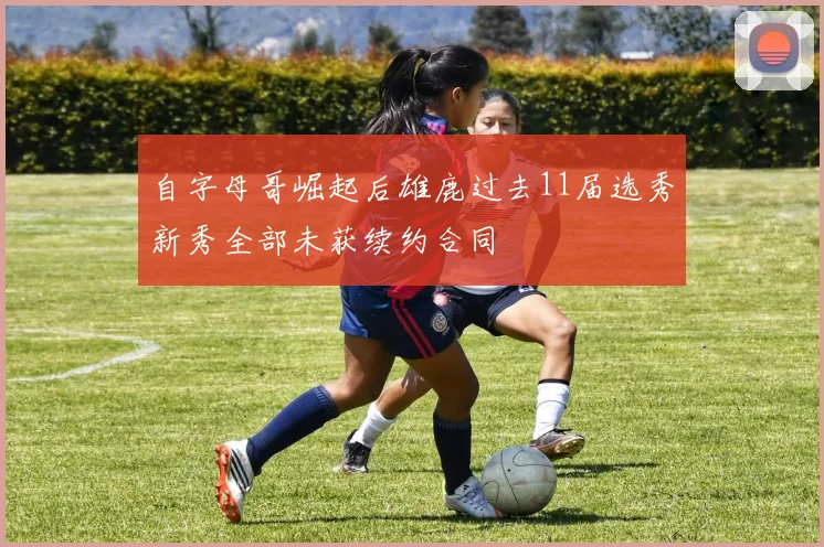 自字母哥崛起后雄鹿过去11届选秀新秀全部未获续约合同