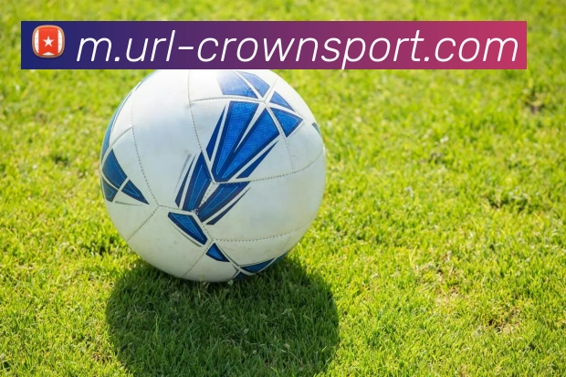 皇冠足球平台生态图